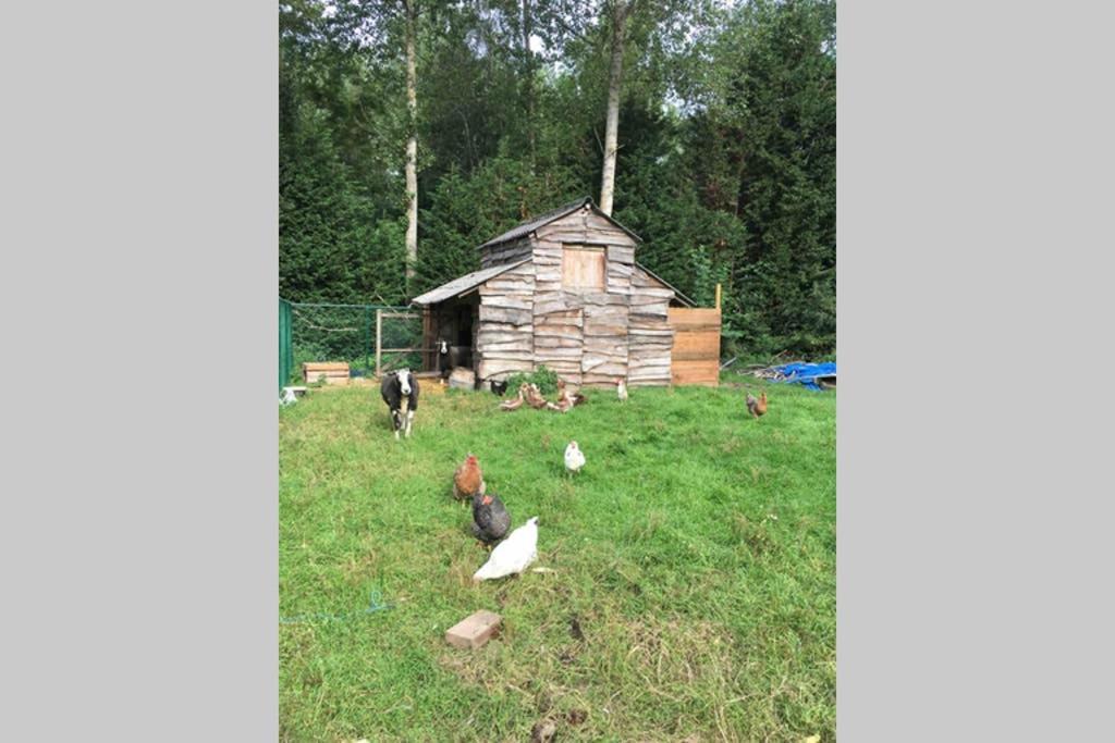 Apartamento Cozy Studio On A Quaint Farm Kruibeke Exterior foto